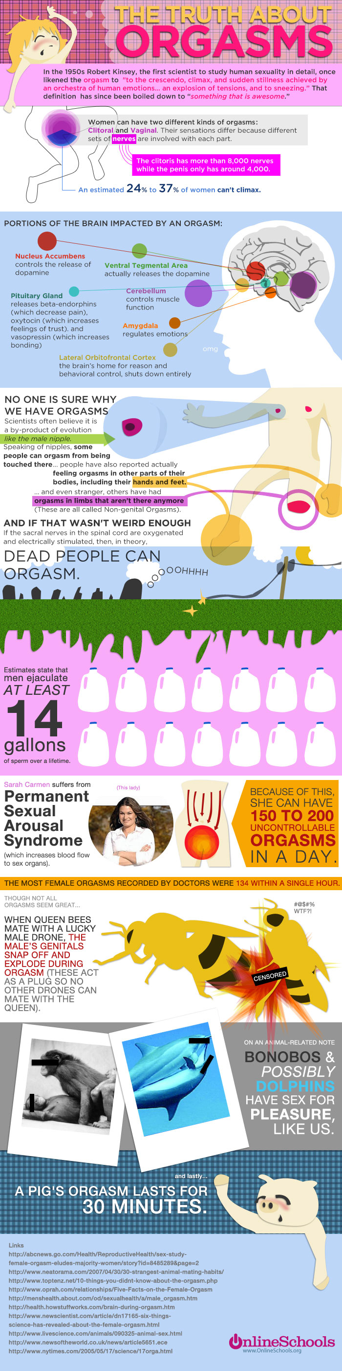orgasme-duminicale-image-infografic