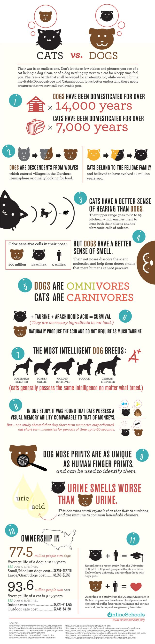 catsversusdogs