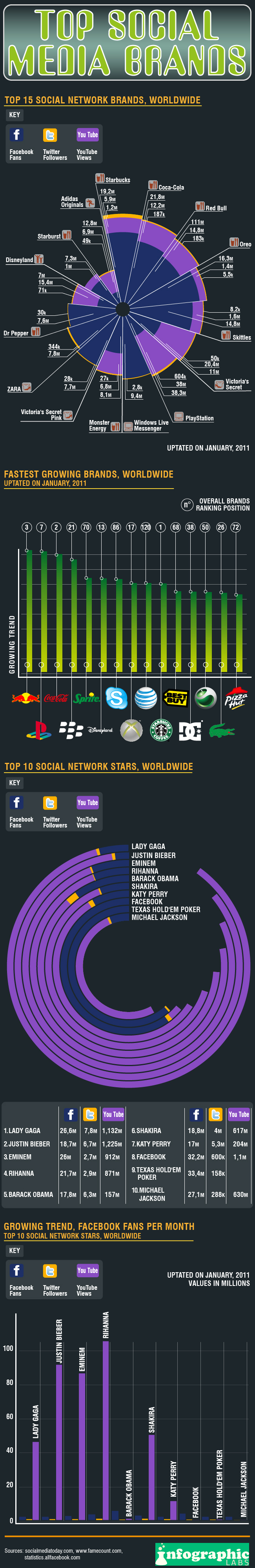 Social-Media-Brands-infografic