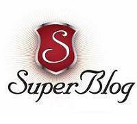 superblog-2014-obisnuit-eu